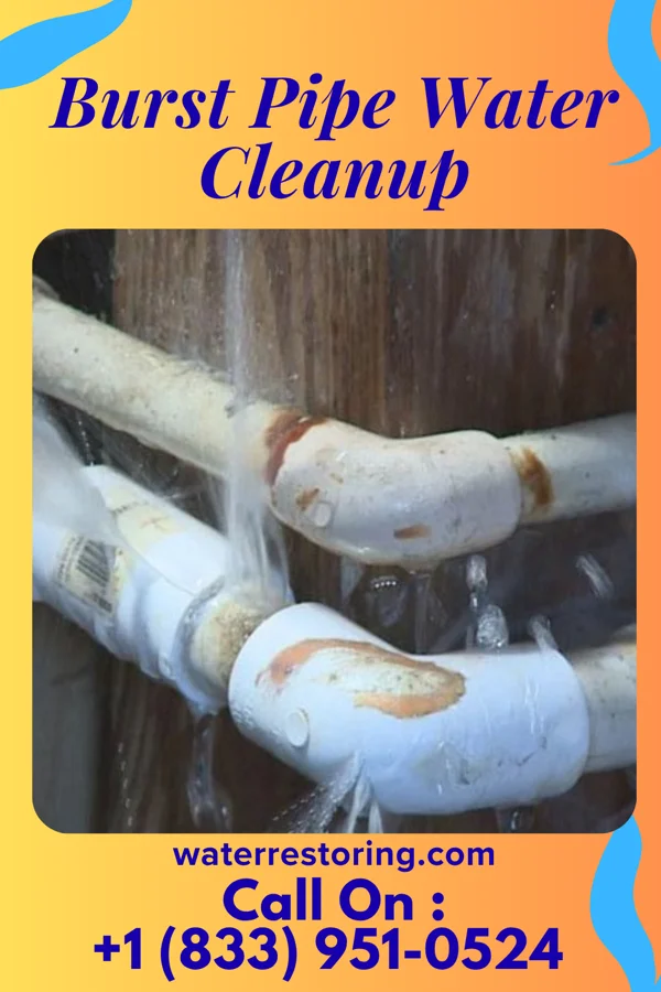 Burst Pipe Water Cleanup in Metompkin, VA