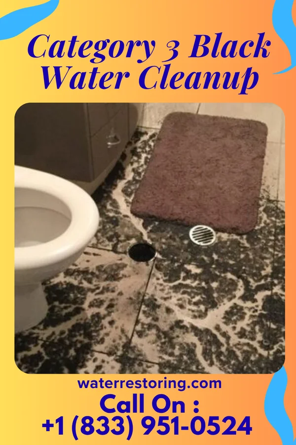 Category 3 Black Water Cleanup in Metompkin, VA