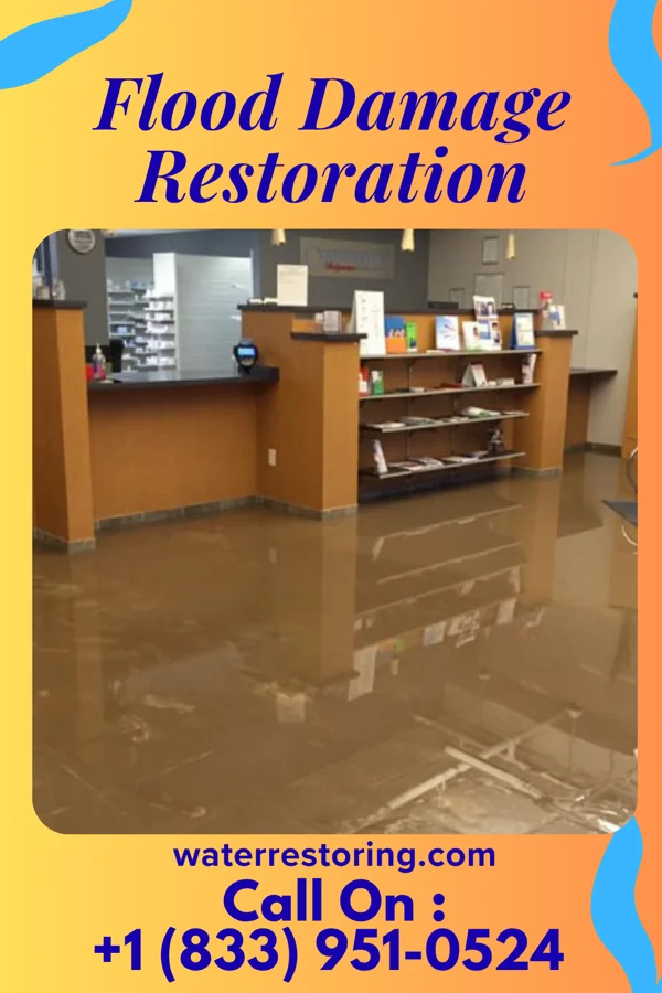 Flood Damage Restoration in Metompkin, VA