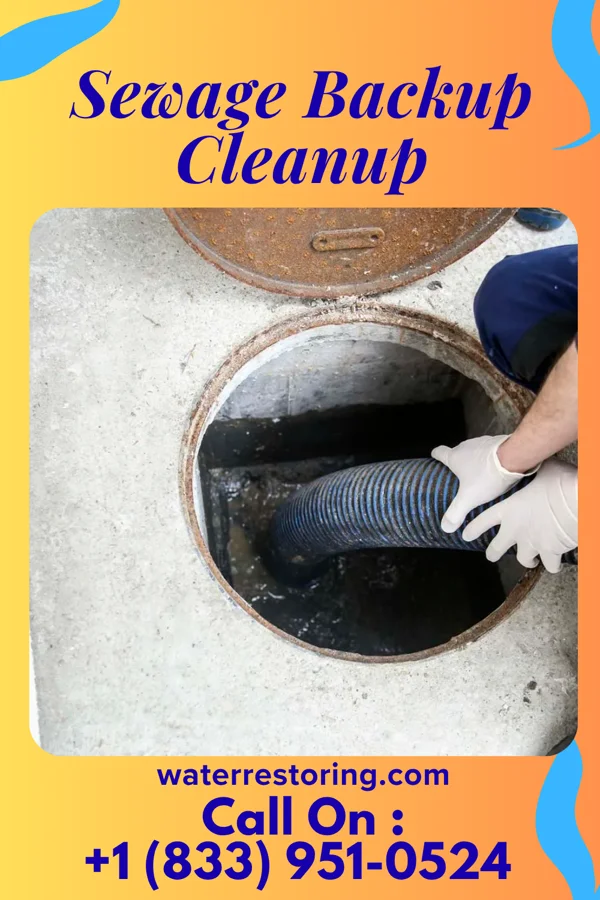 Sewage Backup Cleanup in Metompkin, VA