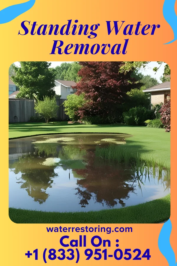 Standing Water Removal in Metompkin, VA